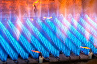 Wallington Heath gas fired boilers
